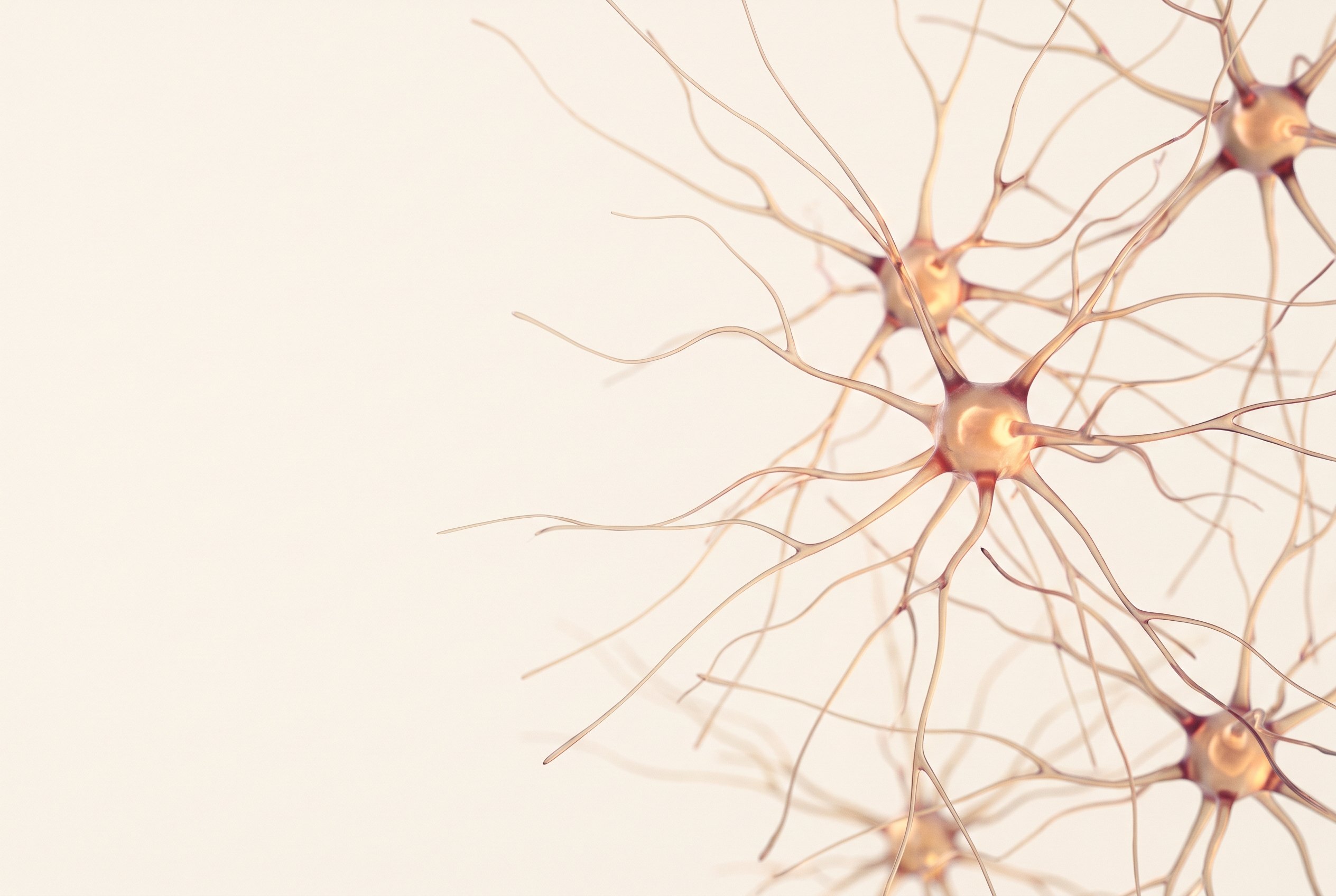 A scientific visualisation of developing young neurons forming new connections