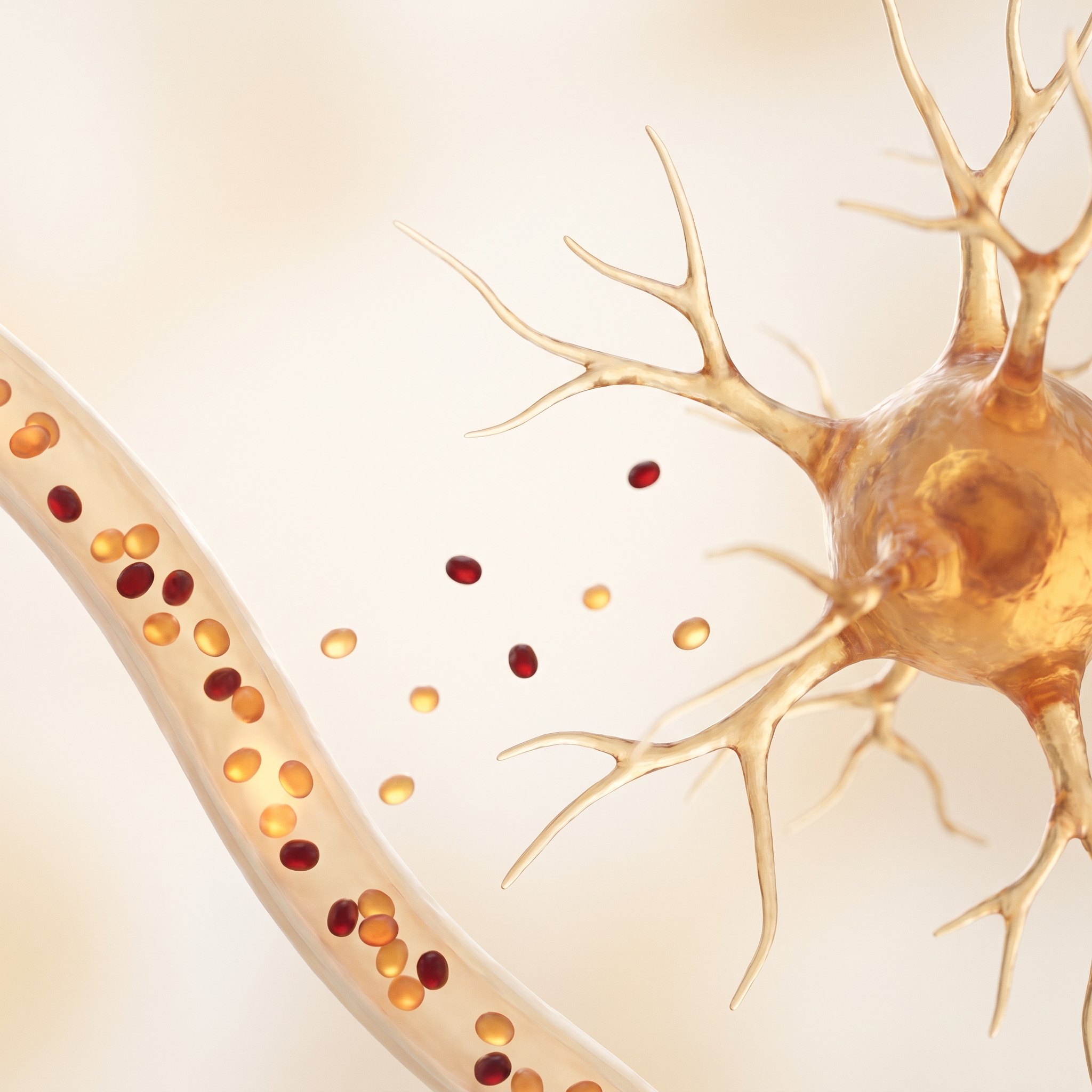A 3D scientific visualisation of a neuron beside an oxygen-carrying capillary — the neuroprotection HIE treatment works towards