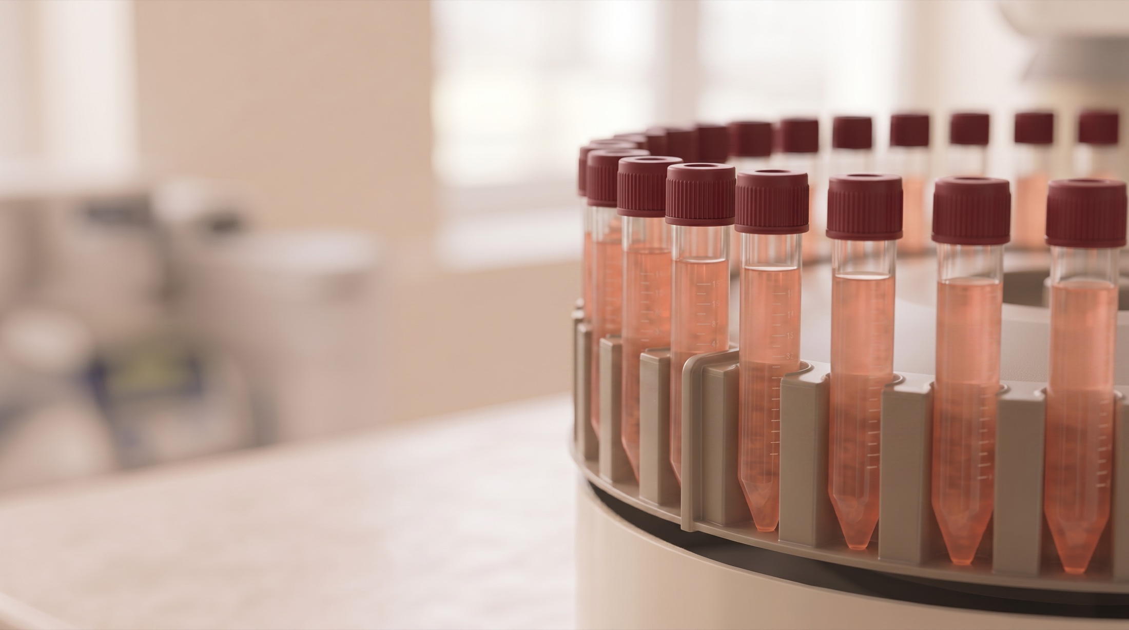 Cell-culture samples in a rack at the institute's certified laboratory