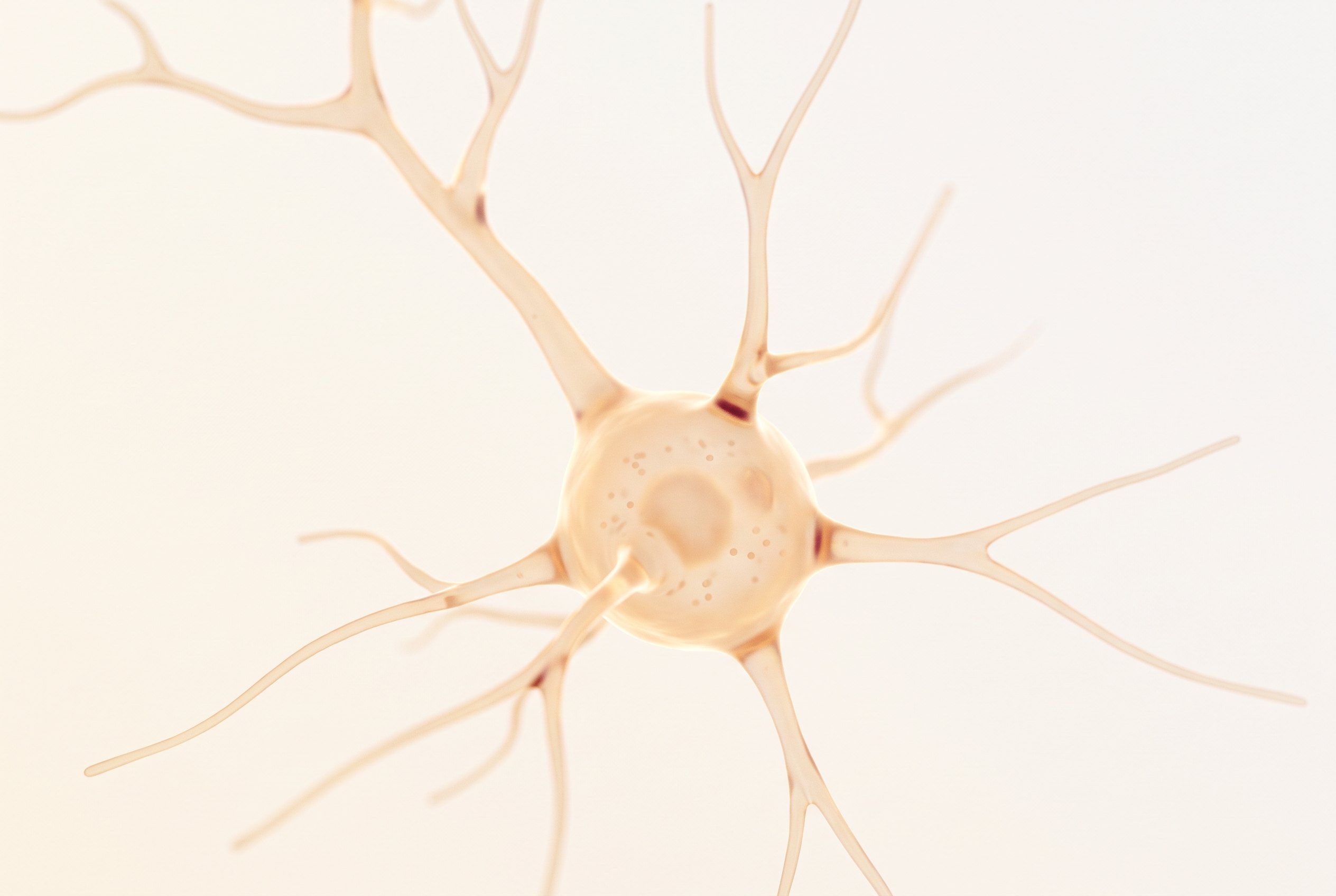 Visualisation scientifique d'un seul neurone dopaminergique