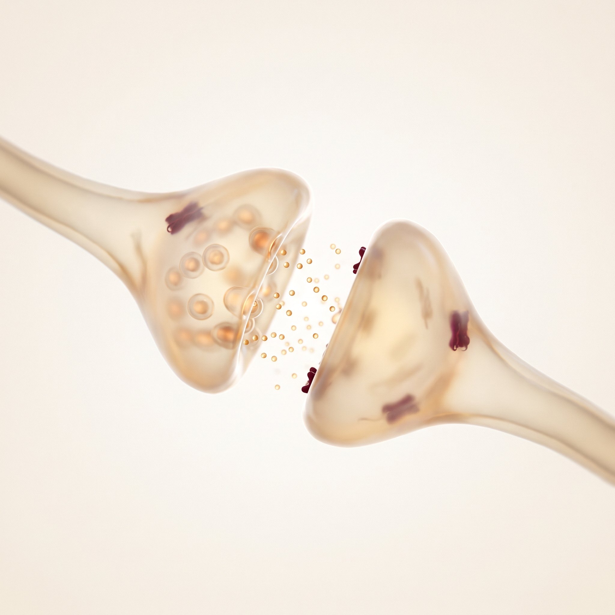 Visualisation scientifique 3D d'une synapse libérant de la dopamine entre deux neurones — la transmission qui fait défaut à mesure que les neurones dopaminergiques disparaissent dans la maladie de Parkinson