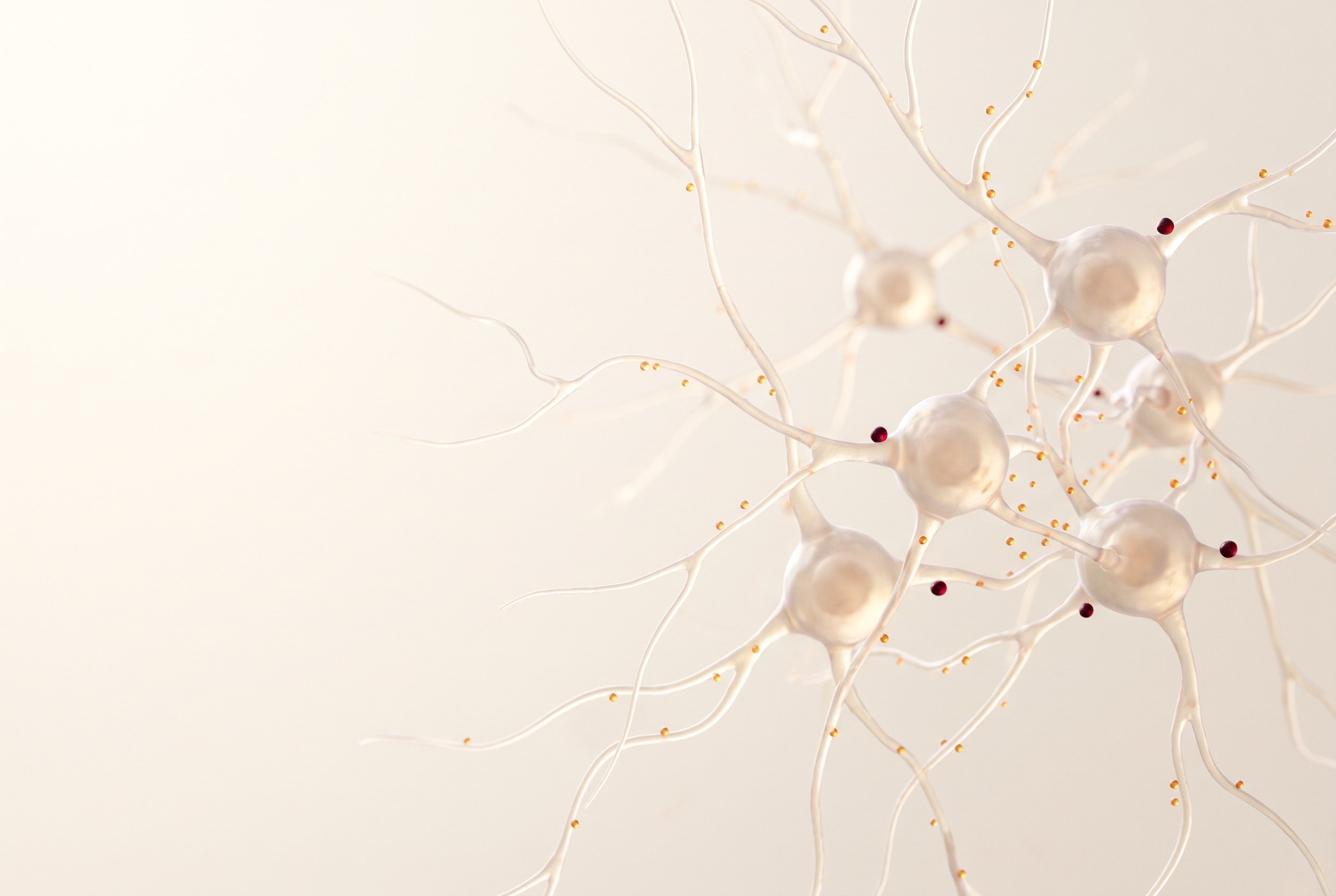 Visualisation scientifique de neurones dopaminergiques, les cellules qui disparaissent dans la maladie de Parkinson
